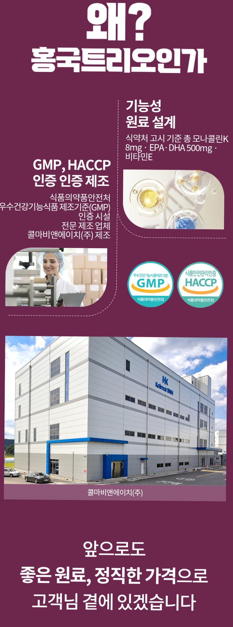 홍국트리오 메가 중성지방 콜레스테롤 낮추는 HDL LDL 홍국영양제 60정, 1개